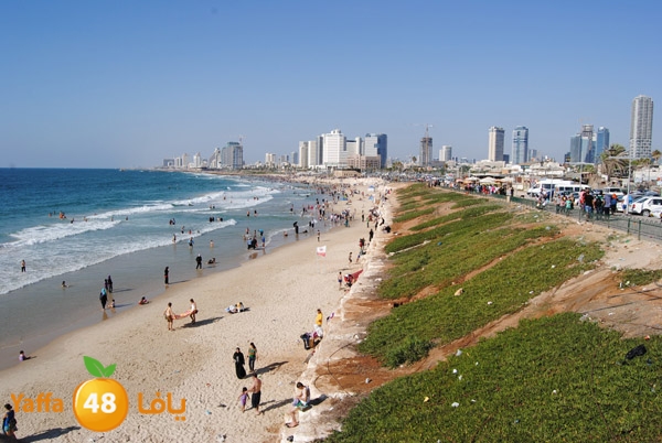 yaffa people 811 (7).JPG